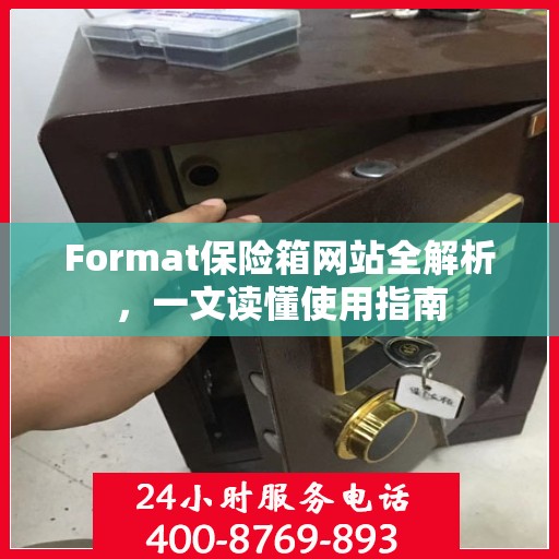 Format保险箱网站全解析，一文读懂使用指南