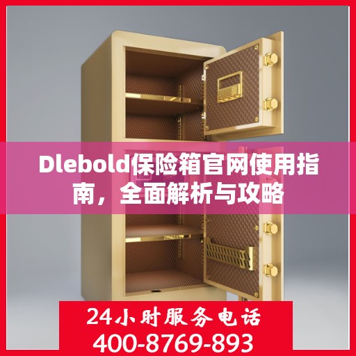 Dlebold保险箱官网使用指南，全面解析与攻略