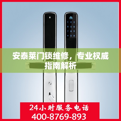 安泰莱门锁维修，专业权威指南解析