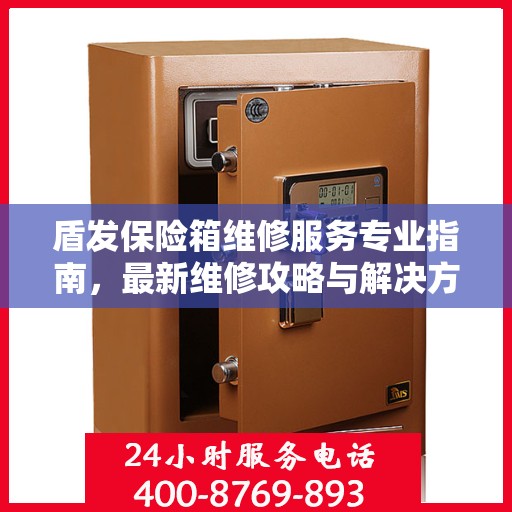 盾发保险箱维修服务专业指南，最新维修攻略与解决方案