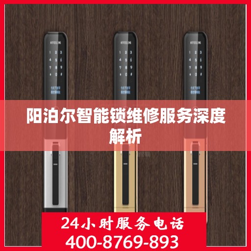 阳泊尔智能锁维修服务深度解析