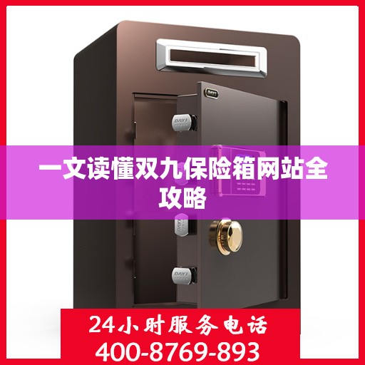 一文读懂双九保险箱网站全攻略