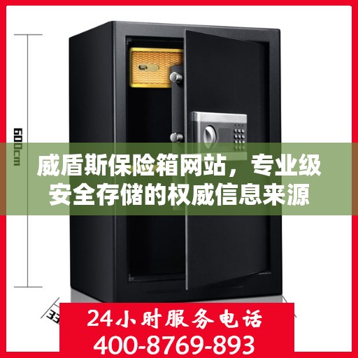 威盾斯保险箱网站，专业级安全存储的权威信息来源