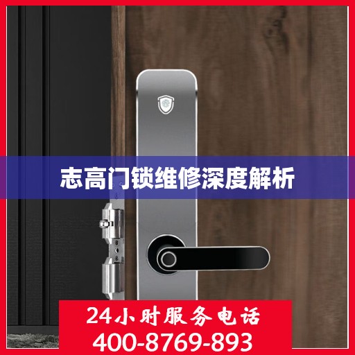 志高门锁维修深度解析