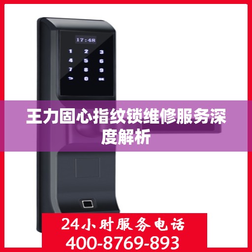 王力固心指纹锁维修服务深度解析