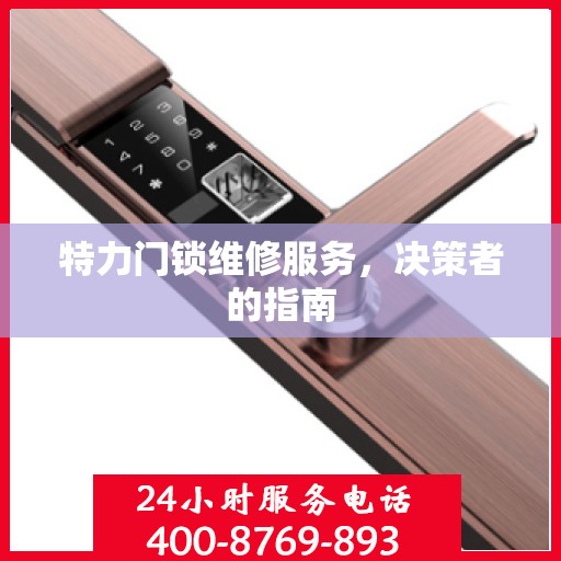 特力门锁维修服务，决策者的指南