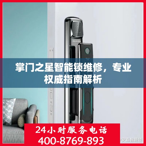 掌门之星智能锁维修，专业权威指南解析