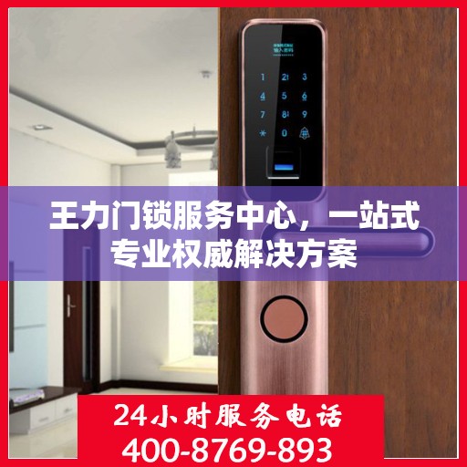 王力门锁服务中心，一站式专业权威解决方案
