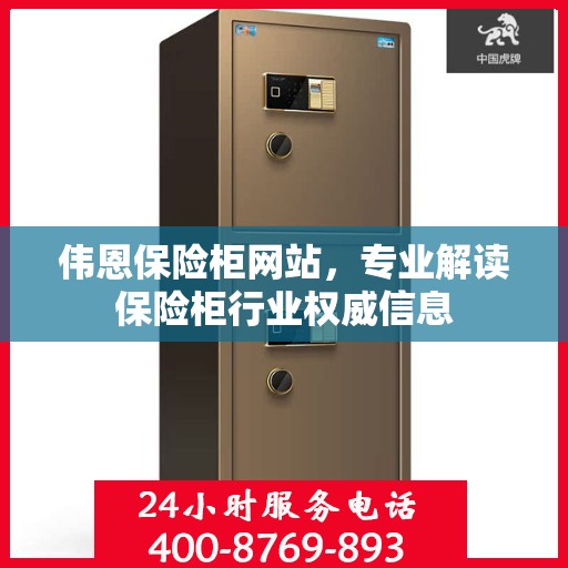 伟恩保险柜网站，专业解读保险柜行业权威信息