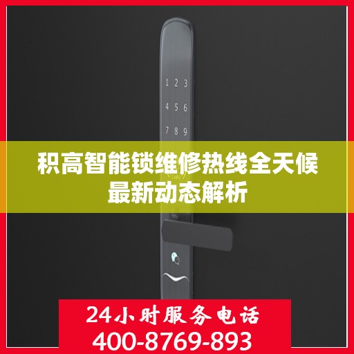积高智能锁维修热线全天候最新动态解析