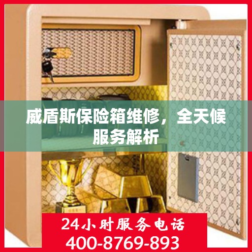 威盾斯保险箱维修，全天候服务解析