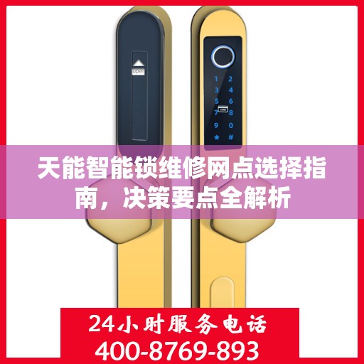 天能智能锁维修网点选择指南，决策要点全解析