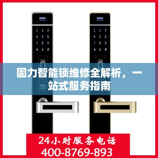 固力智能锁维修全解析，一站式服务指南