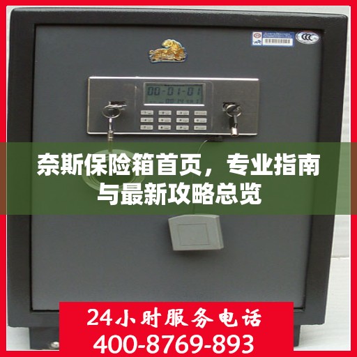 奈斯保险箱首页，专业指南与最新攻略总览