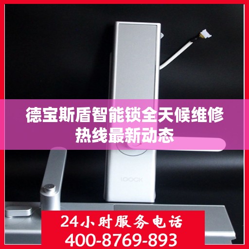 德宝斯盾智能锁全天候维修热线最新动态