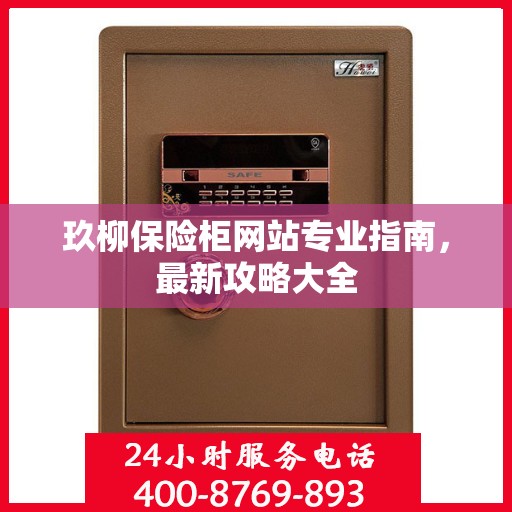 玖柳保险柜网站专业指南，最新攻略大全