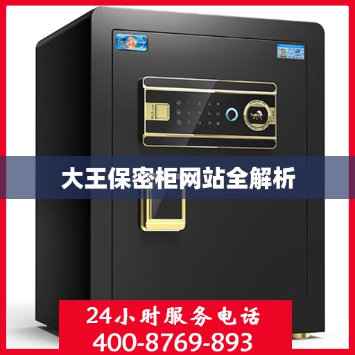 大王保密柜网站全解析