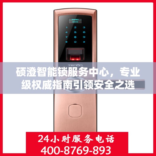 硕澄智能锁服务中心，专业级权威指南引领安全之选