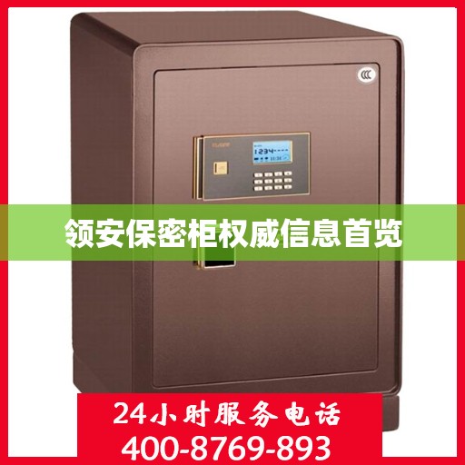 领安保密柜权威信息首览