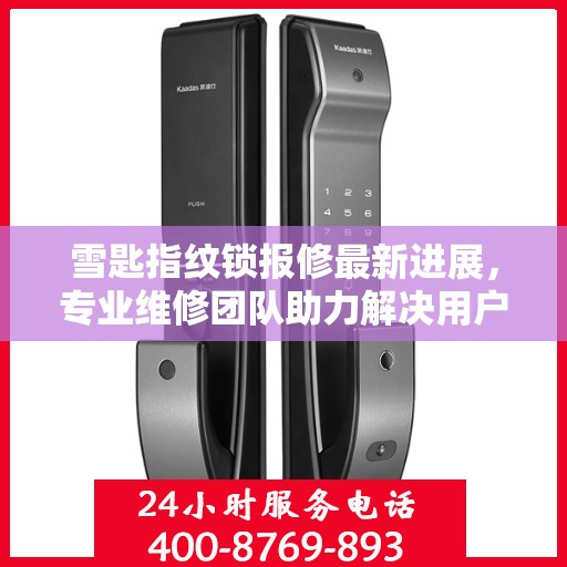 雪匙指纹锁报修最新进展，专业维修团队助力解决用户问题