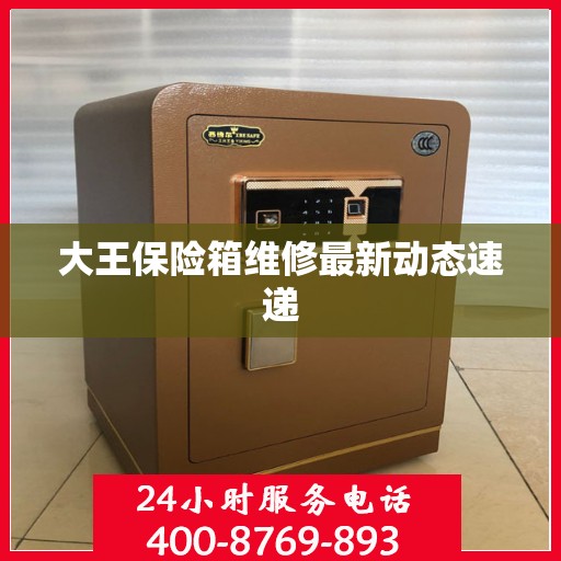 大王保险箱维修最新动态速递