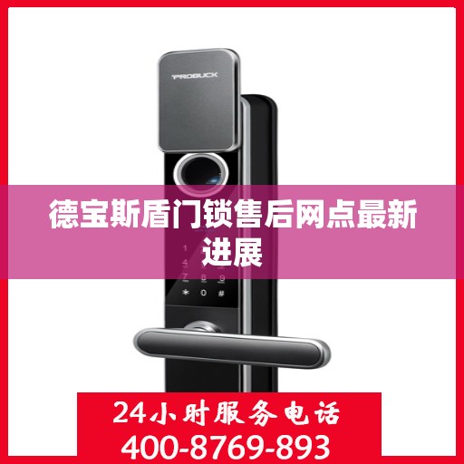 德宝斯盾门锁售后网点最新进展