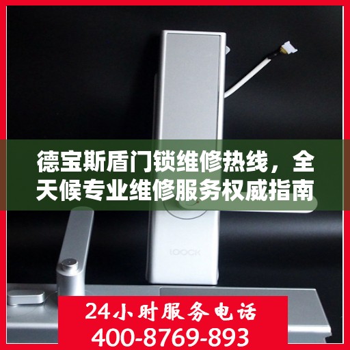 德宝斯盾门锁维修热线，全天候专业维修服务权威指南