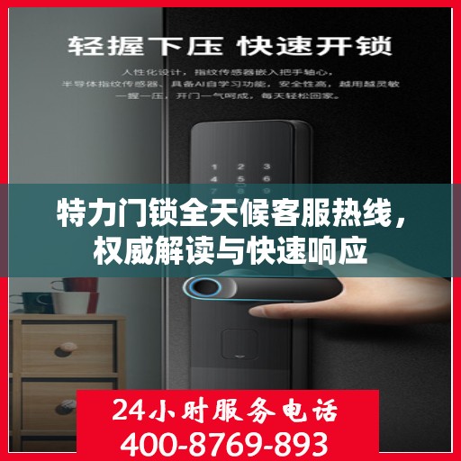 特力门锁全天候客服热线，权威解读与快速响应