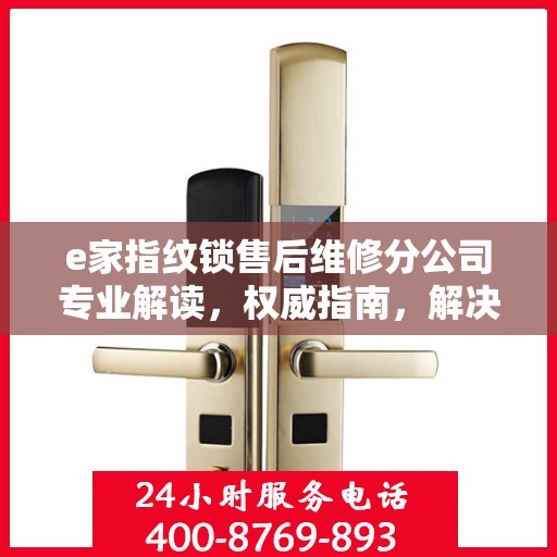 e家指纹锁售后维修分公司专业解读，权威指南，解决您的锁事疑难