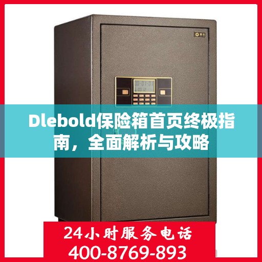 Dlebold保险箱首页终极指南，全面解析与攻略