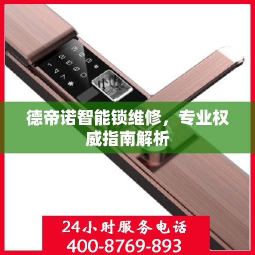 德帝诺智能锁维修，专业权威指南解析