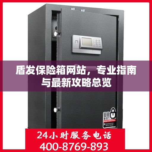 盾发保险箱网站，专业指南与最新攻略总览