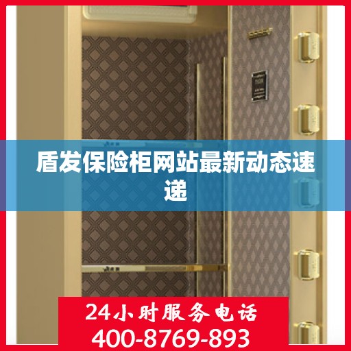 盾发保险柜网站最新动态速递