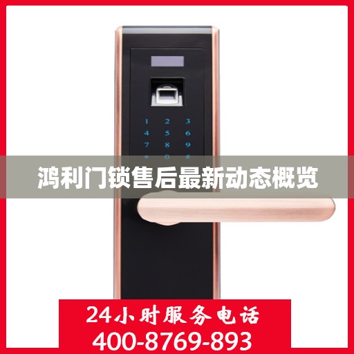 鸿利门锁售后最新动态概览