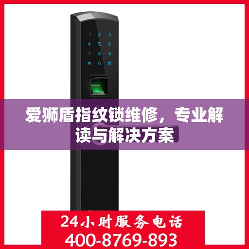 爱狮盾指纹锁维修，专业解读与解决方案