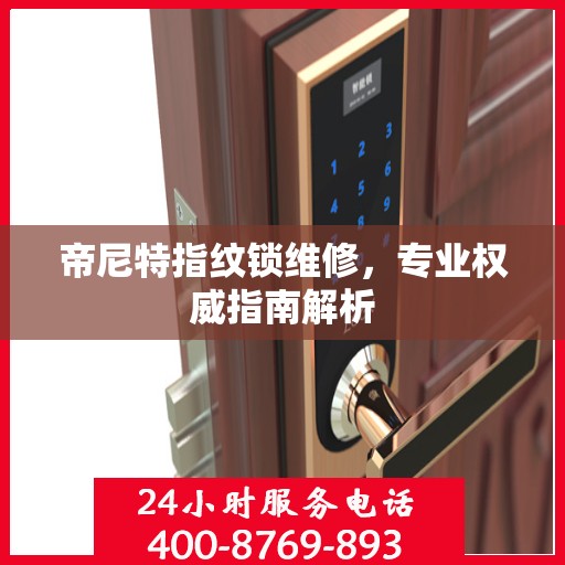 帝尼特指纹锁维修，专业权威指南解析