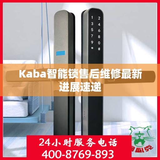 Kaba智能锁售后维修最新进展速递