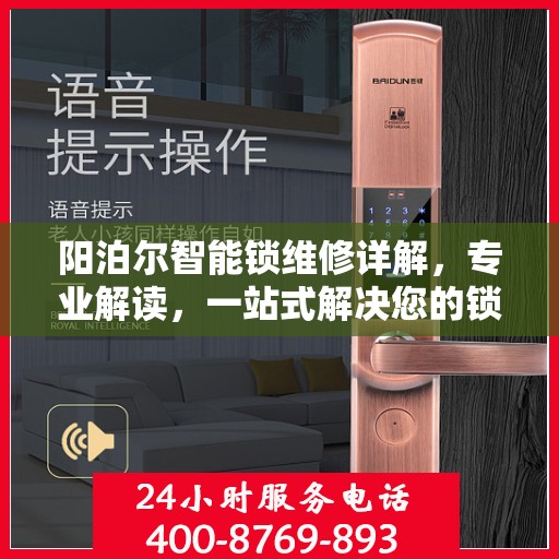 阳泊尔智能锁维修详解，专业解读，一站式解决您的锁具问题