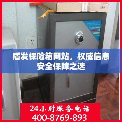 盾发保险箱网站，权威信息安全保障之选