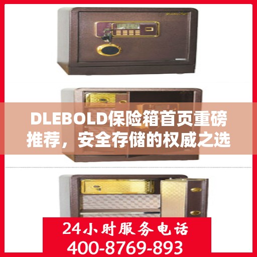 DLEBOLD保险箱首页重磅推荐，安全存储的权威之选