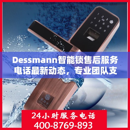 Dessmann智能锁售后服务电话最新动态，专业团队支持，贴心服务保障