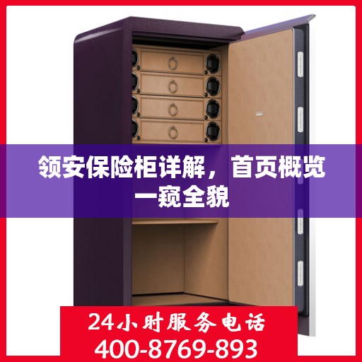 领安保险柜详解，首页概览一窥全貌
