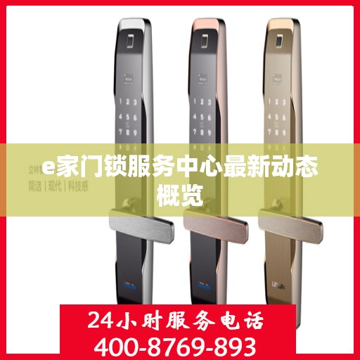 e家门锁服务中心最新动态概览