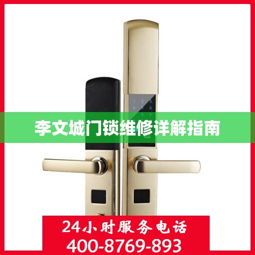 李文城门锁维修详解指南