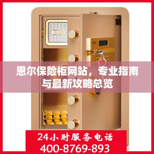 恩尔保险柜网站，专业指南与最新攻略总览