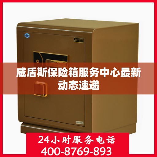 威盾斯保险箱服务中心最新动态速递