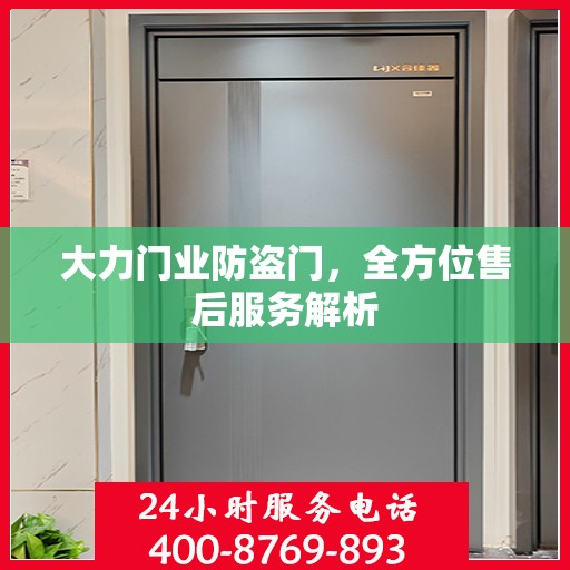 大力门业防盗门，全方位售后服务解析