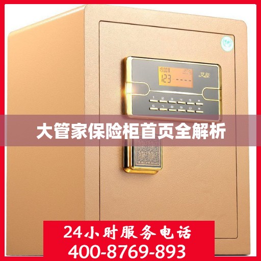 大管家保险柜首页全解析