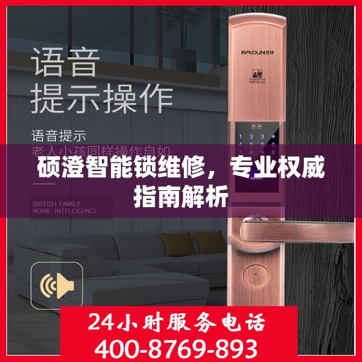 硕澄智能锁维修，专业权威指南解析