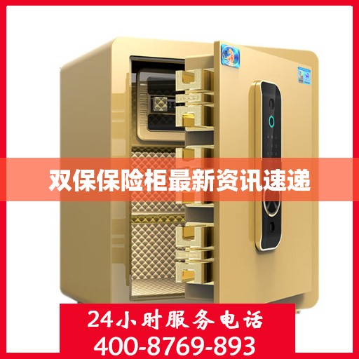 双保保险柜最新资讯速递